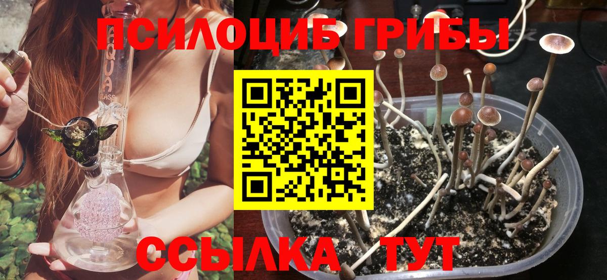 Галлюциногенные грибы мицелий Апатиты