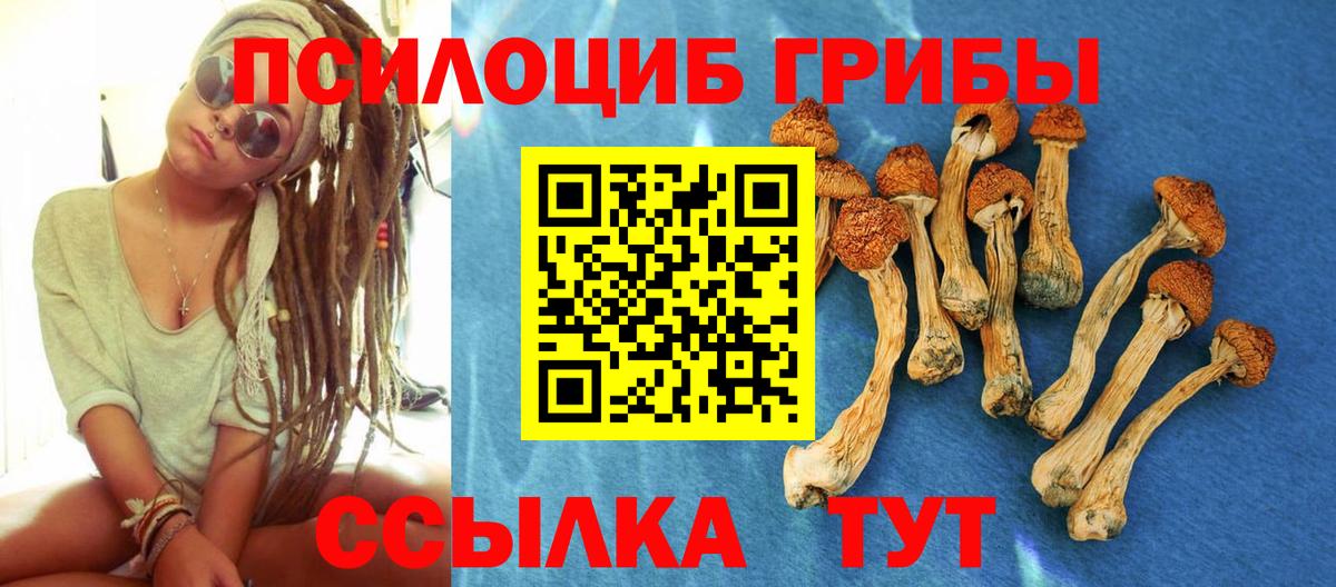 Псилоцибиновые грибы Psilocybine cubensis  Псилоцибиновые грибы Cubensis  Апатиты  Вход с VPN 